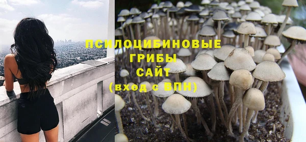 MDMA Premium VHQ Карпинск