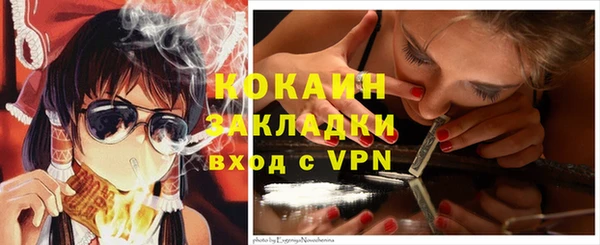 гашик Касимов