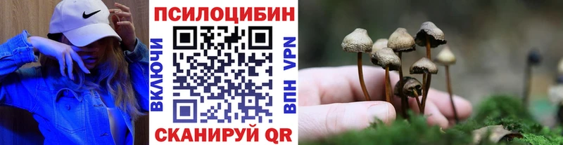 Купить где  Яранск  Псилоцибиновые грибы Magic Shrooms 